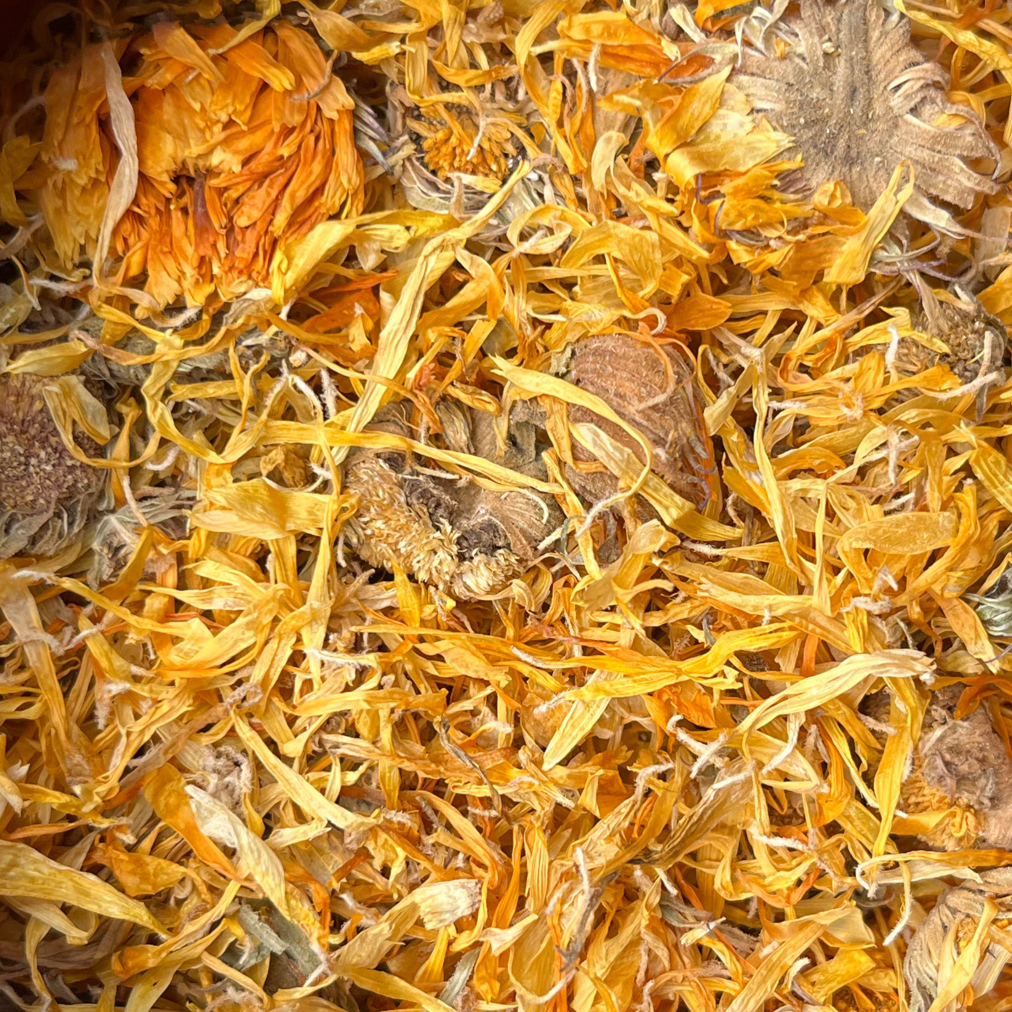 Dried Calendula