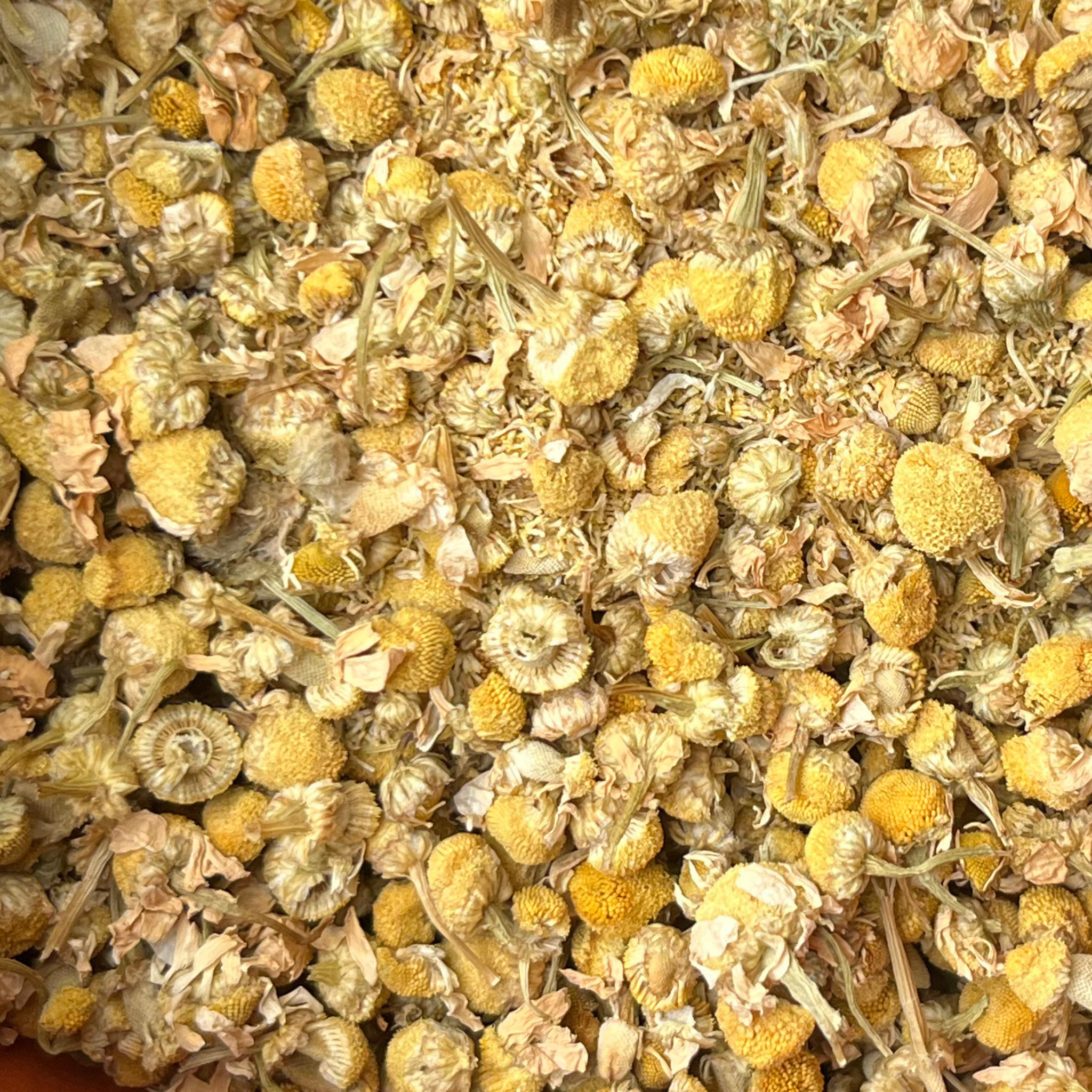 Dried Chamomile